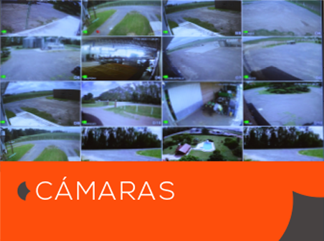Camaras